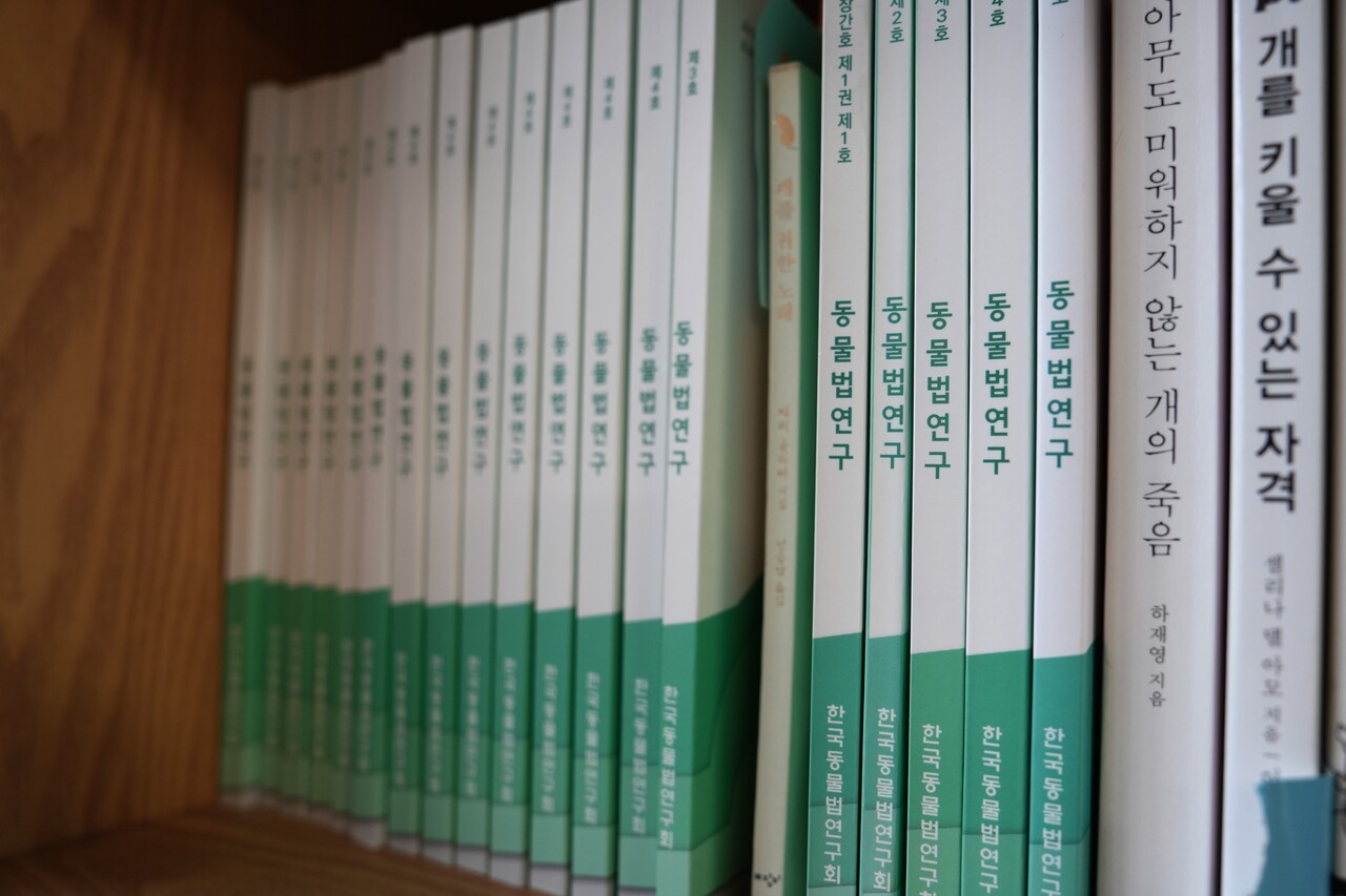 홍완식 교수 연구실의 책장 속 한국동물법연구회 학술지 '동물법연구'. [사진=여세린 기자] 